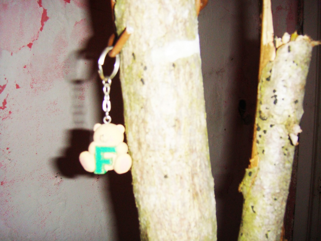 exhibition by kseniya khlopina + olya stolovaya at solo show online