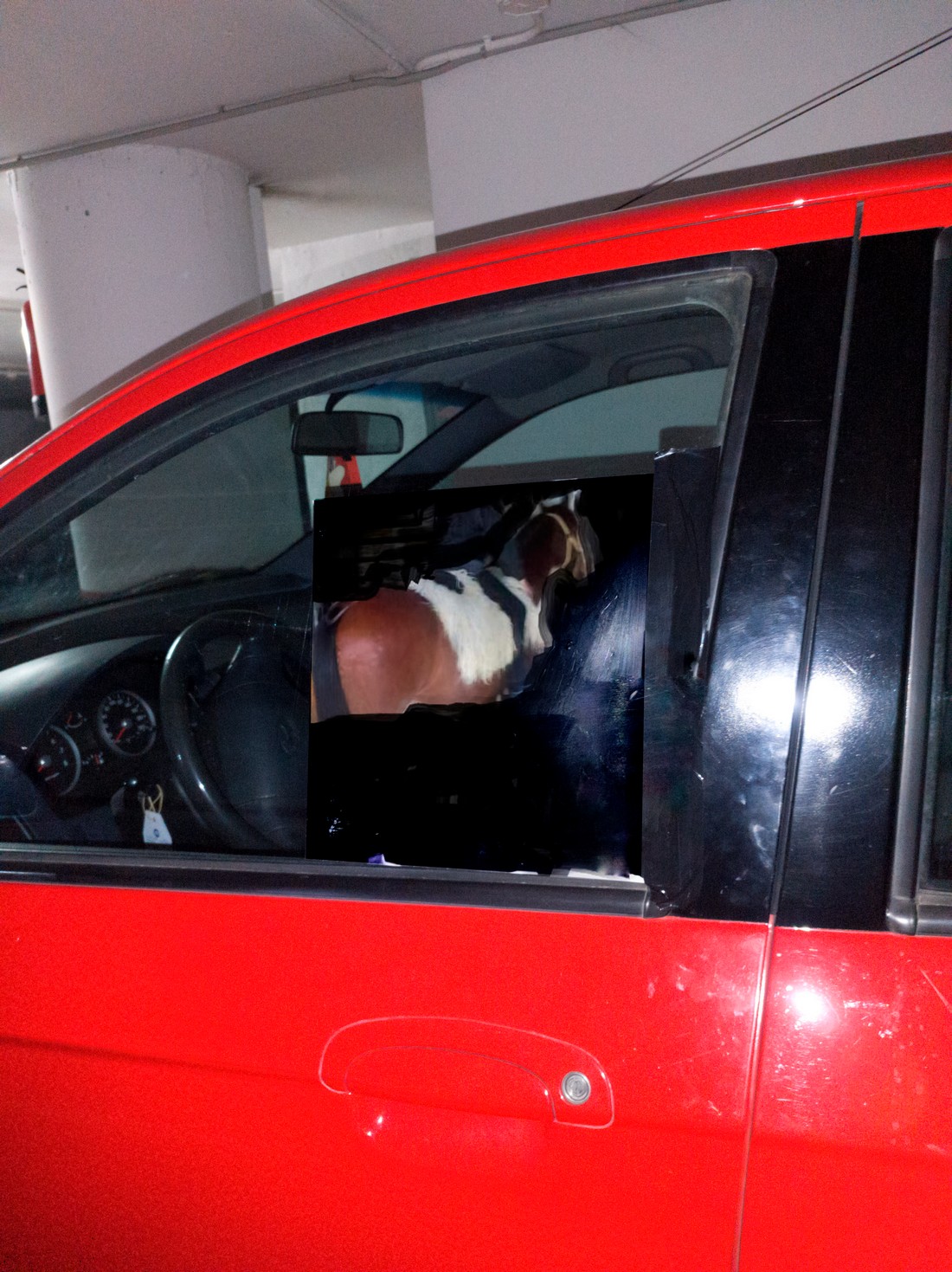 exhibition by artist trivipo and giorgia at solo show online