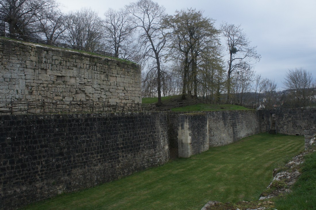 exhibition by arina sukhankina at solo show online