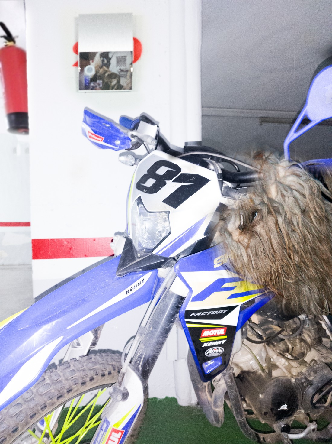 exhibition by artist trivipo and giorgia at solo show online