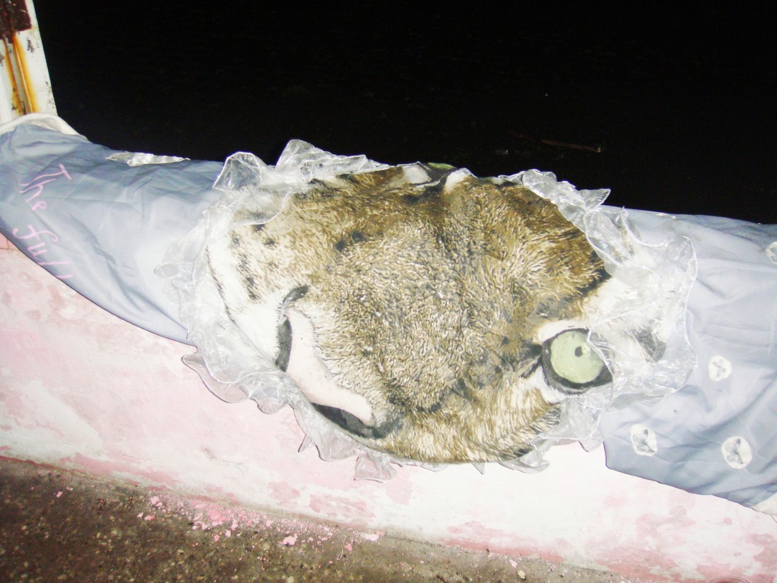 exhibition by kseniya khlopina + olya stolovaya at solo show online