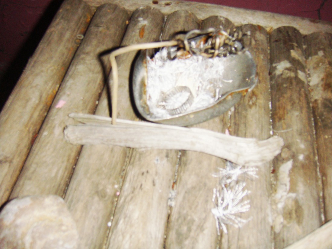 exhibition by kseniya khlopina + olya stolovaya at solo show online