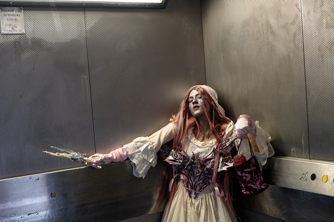 exhibition by organized by david varhegyi at solo show online