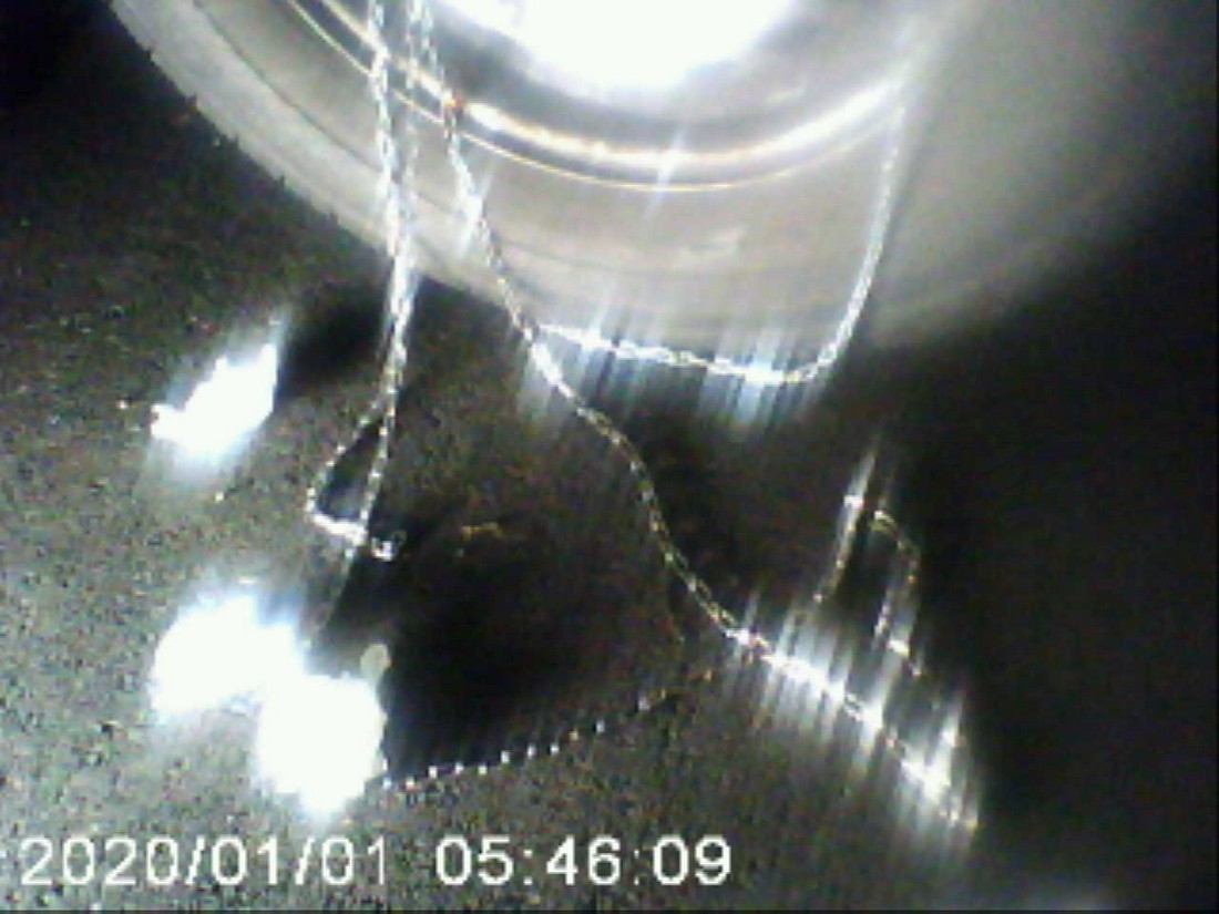 exhibition potluck vienna at solo show online