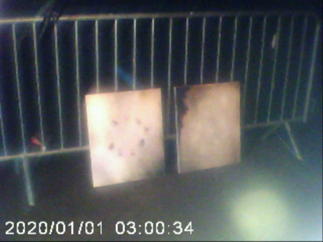 exhibition potluck vienna at solo show online