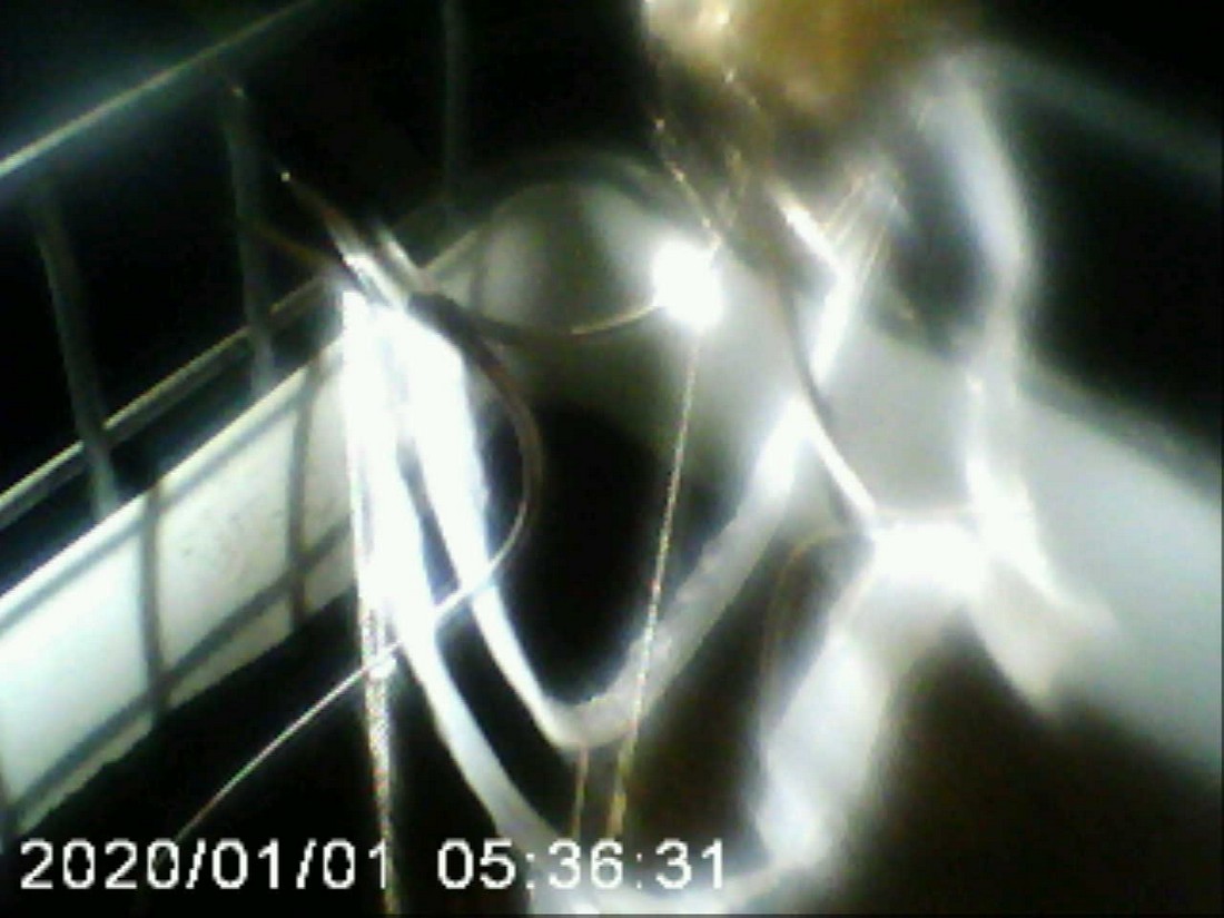 exhibition potluck vienna at solo show online