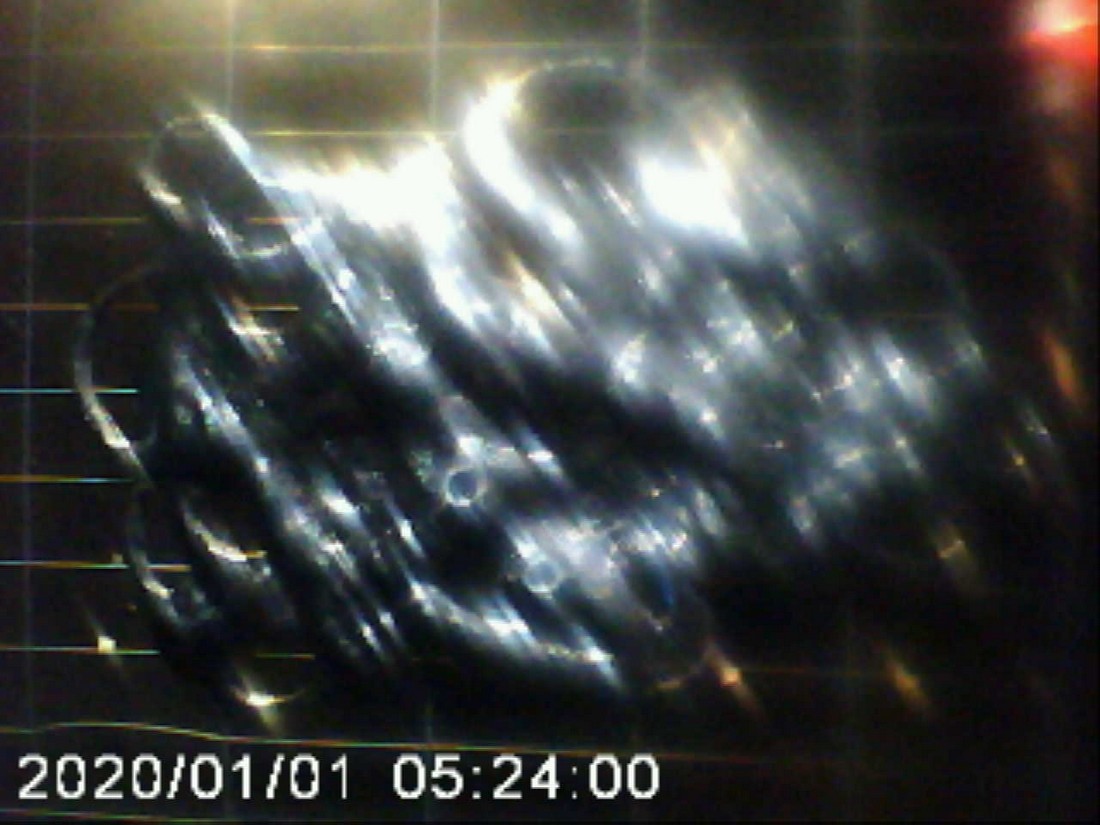 exhibition potluck vienna at solo show online