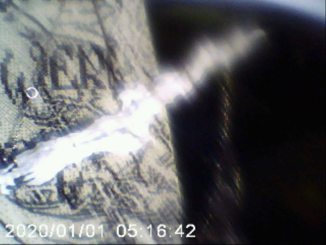 exhibition potluck vienna at solo show online