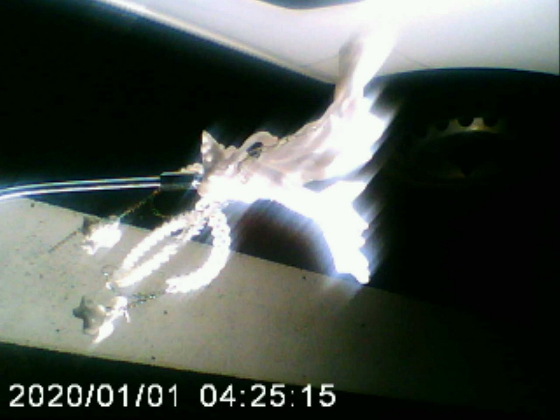 exhibition potluck vienna at solo show online