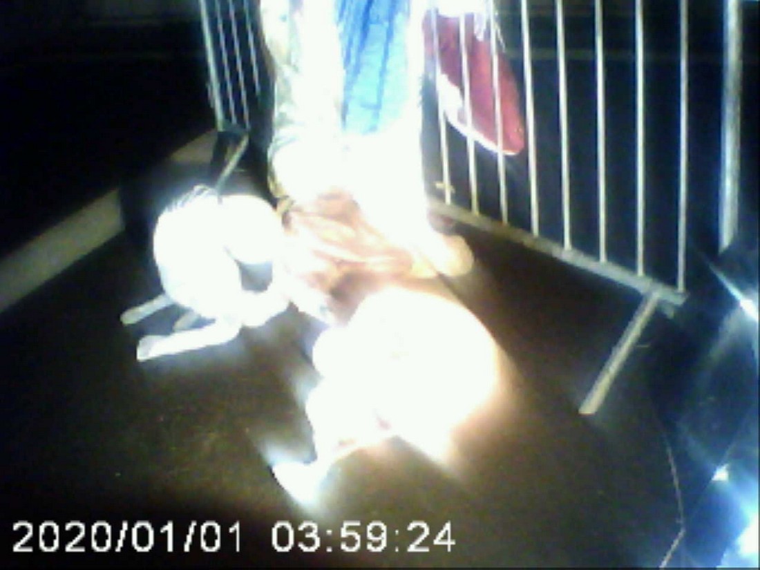 exhibition potluck vienna at solo show online