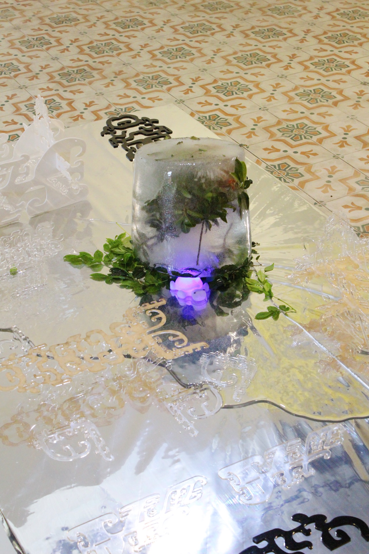 Wet Gallery Image 12