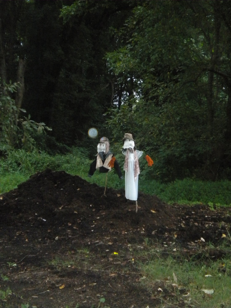 Artwork from Motka Ambu's Sleepy Hollow exhibition at Solo Show Online