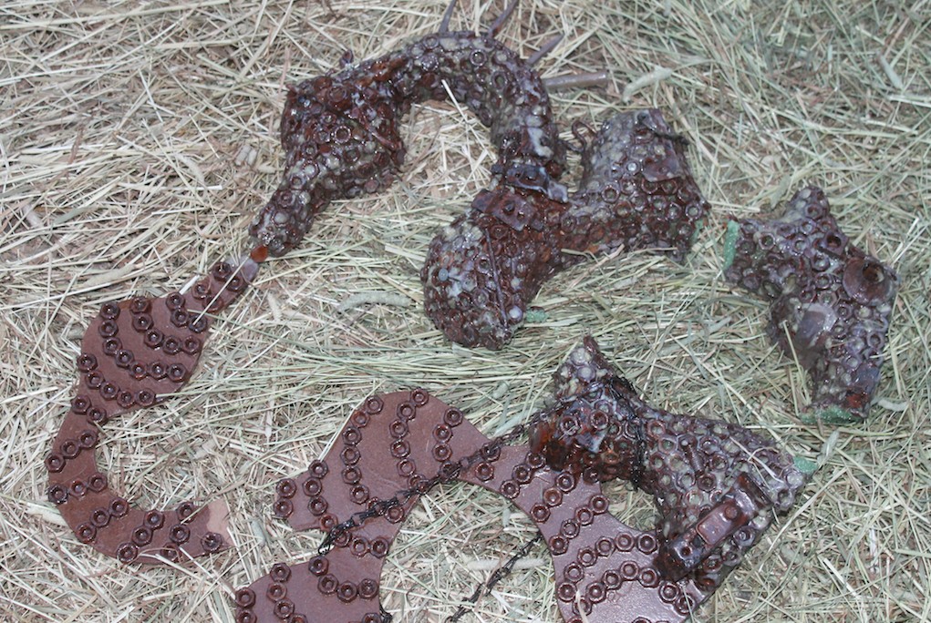 datura curated by torre alain at light harvesting complex
