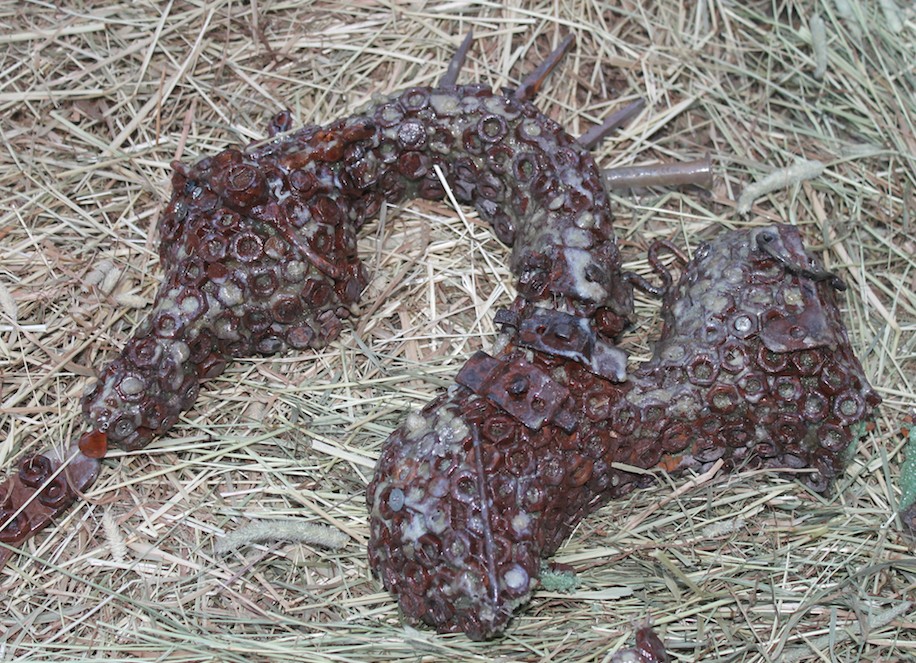 datura curated by torre alain at light harvesting complex