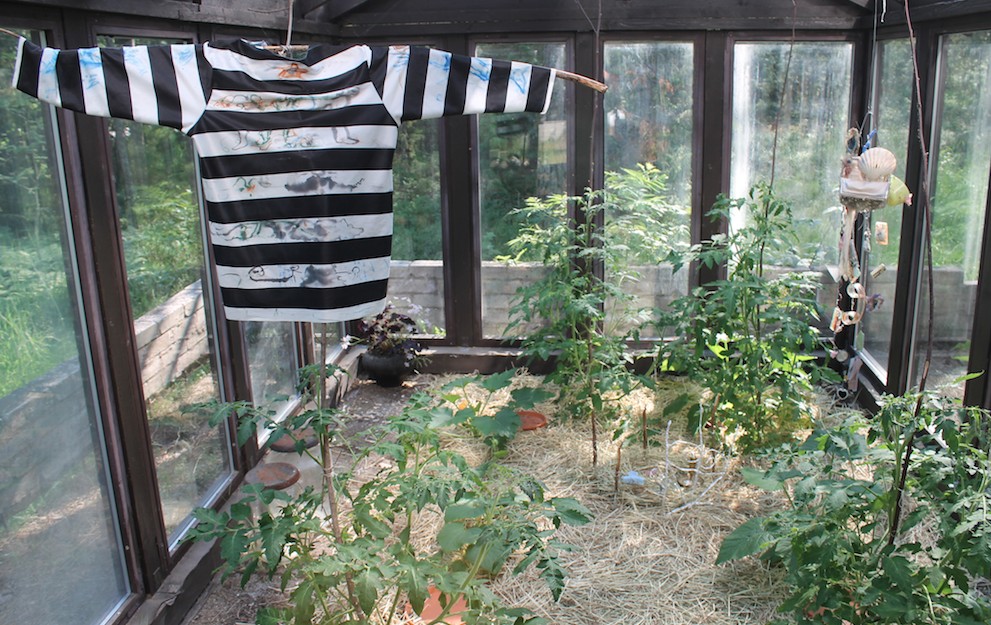 datura curated by torre alain at light harvesting complex