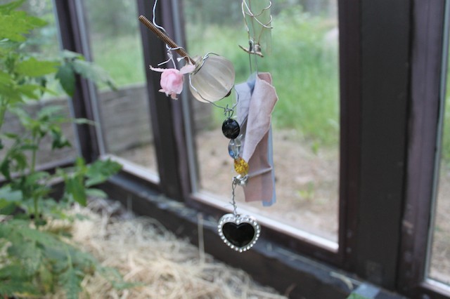 datura curated by torre alain at light harvesting complex