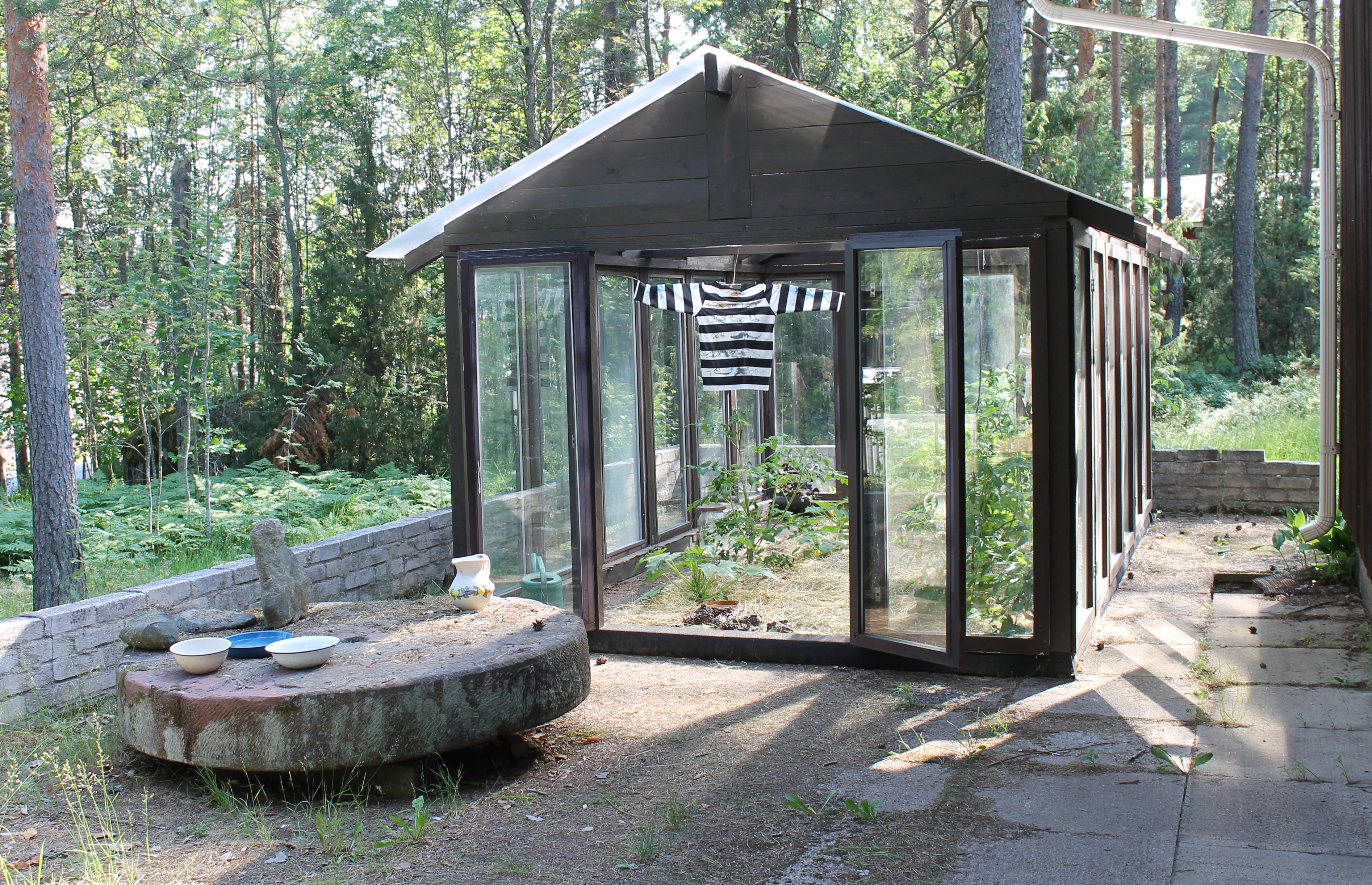 datura curated by torre alain at light harvesting complex