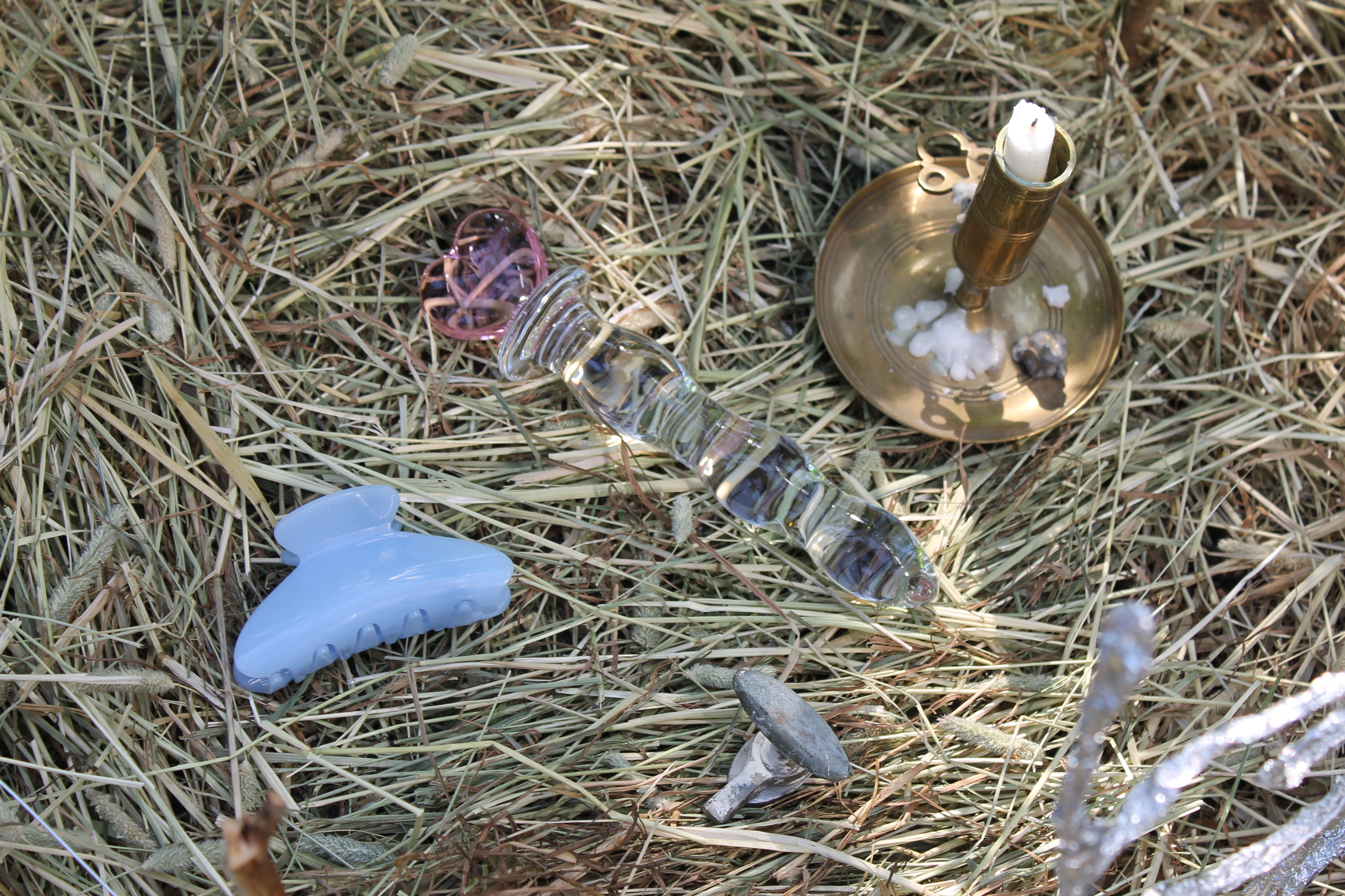 datura curated by torre alain at light harvesting complex